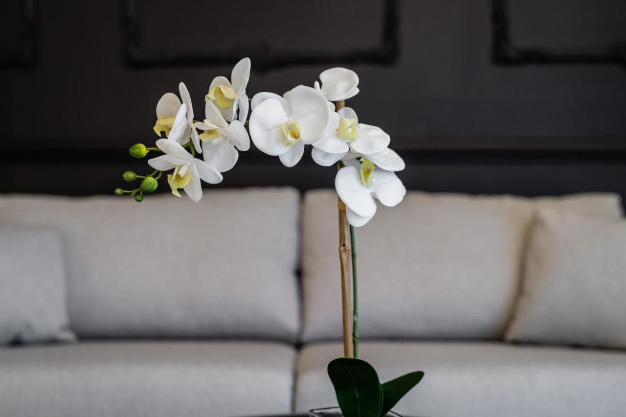 Groble Residence Wawelofts Krakow Luaran gambar